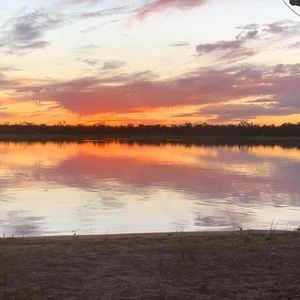 Meet your Posher, Jane